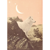 Plakatas "Giant White Wolf in Mountain by Florent Bodart"