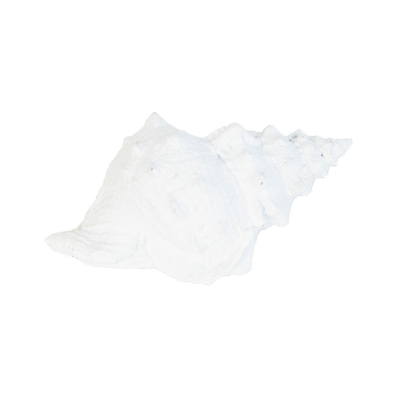 Dekoracija "Sea shell"