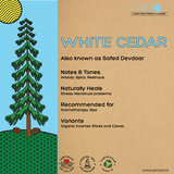 Kūginiai smilkalai „White Cedar“ (Baltasis kedras)