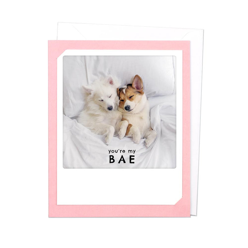 Atvirukas Pickmotion „You are my BAE“