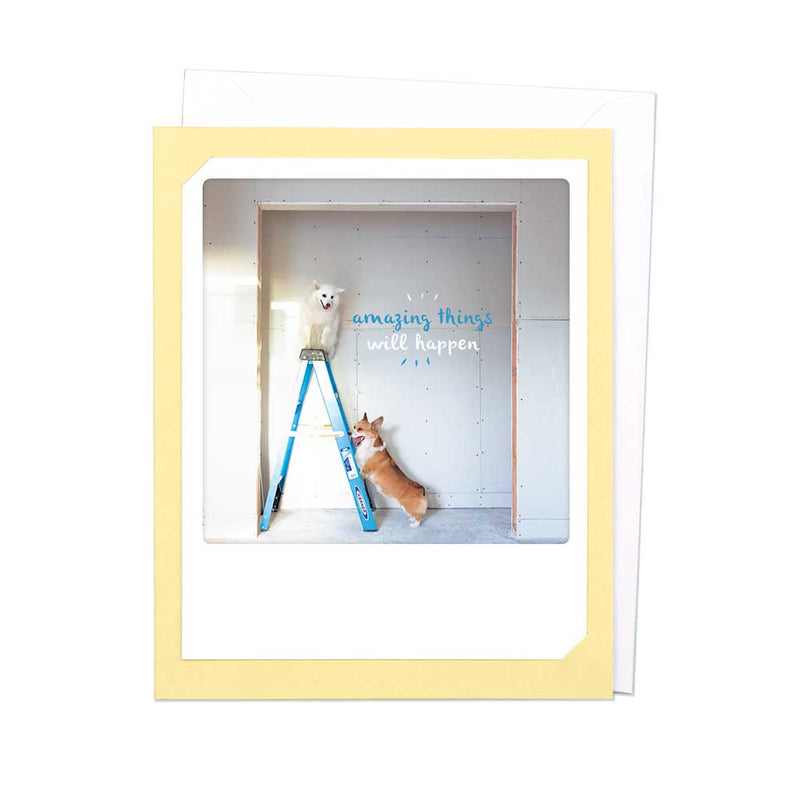 Atvirukas Pickmotion „Amazing Things Will Happen“